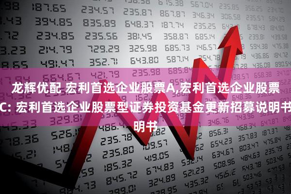 龙辉优配 宏利首选企业股票A,宏利首选企业股票C: 宏利首选企业股票型证券投资基金更新招募说明书