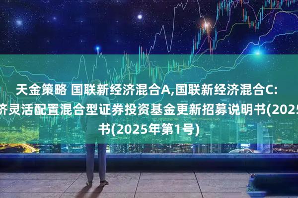 天金策略 国联新经济混合A,国联新经济混合C: 国联新经济灵活配置混合型证券投资基金更新招募说明书(2025年第1号)