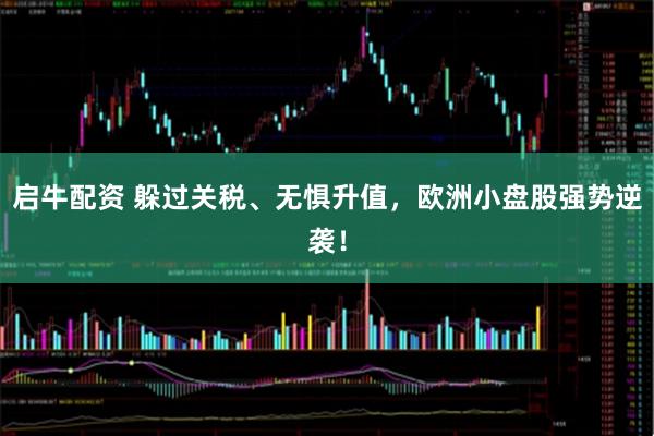 启牛配资 躲过关税、无惧升值，欧洲小盘股强势逆袭！