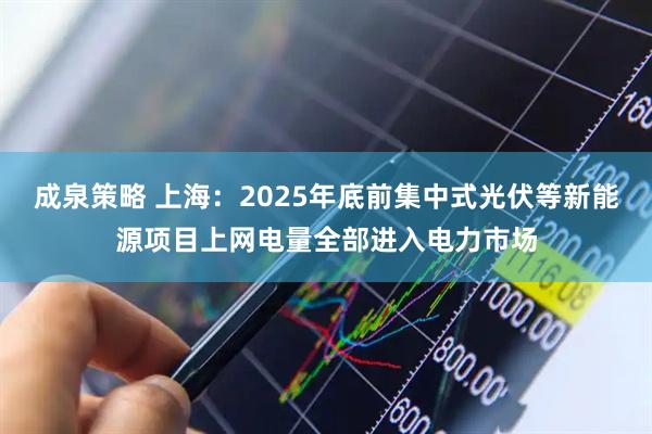 成泉策略 上海：2025年底前集中式光伏等新能源项目上网电量全部进入电力市场